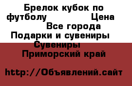 Брелок кубок по футболу Fifa 2018 › Цена ­ 399 - Все города Подарки и сувениры » Сувениры   . Приморский край